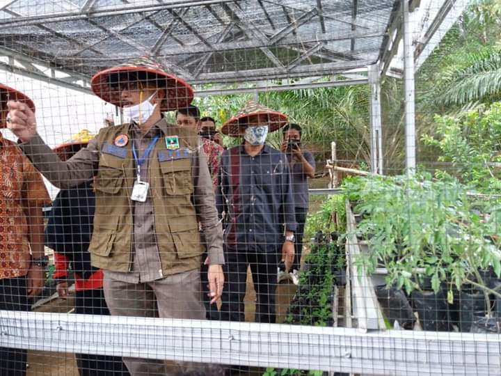 Guna memenuhi kebutuhan sayur dan buah. Bupati Hendrajoni, Ajak Masyarakat Manfaatkan Pekarangan 